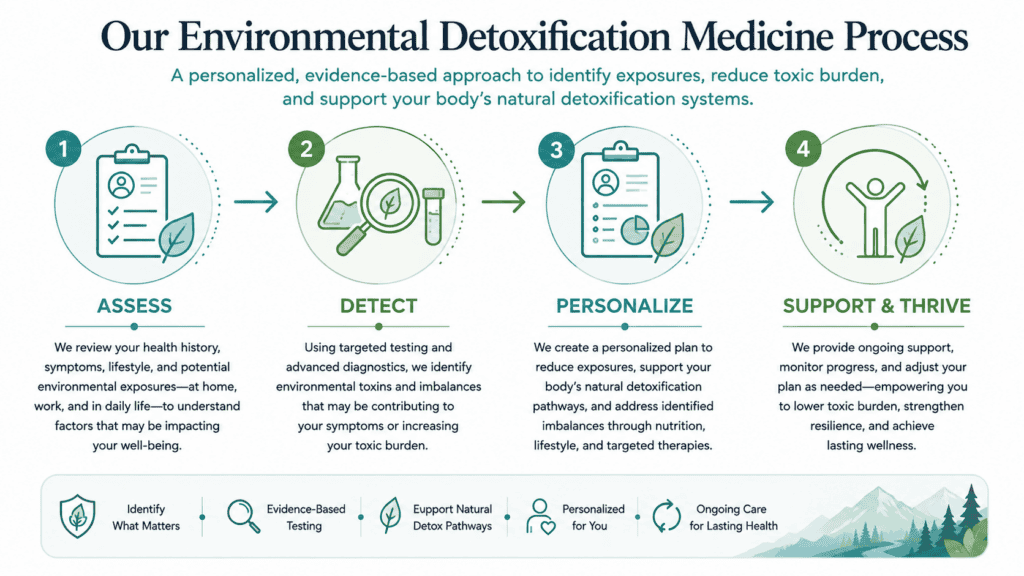 Environmental detoxification medicine process infographic with four steps.